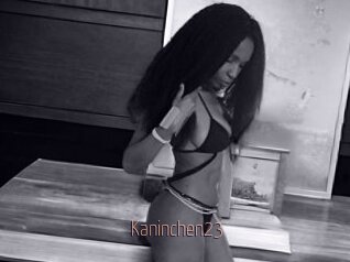 Kaninchen23