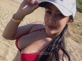 Karinaandrey