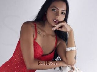 Kattfoster