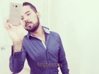 Kingbearboy