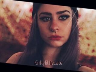 Kinkylittlecate