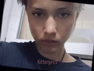 Kittenjess