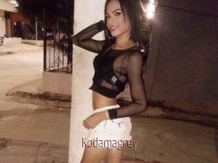 Kodamagrey