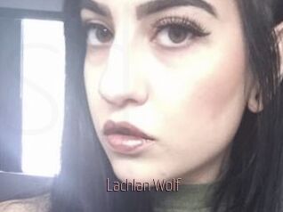 Lachlan_Wolf