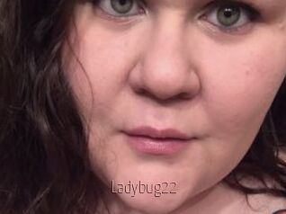 Ladybug22