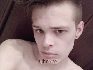 LapkinGray