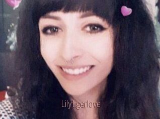 Lilytigerlove