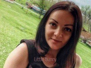 Little_Bunny_