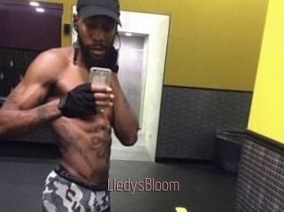 Lledys_Bloom