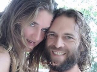 Luvbugs