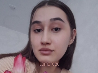 Lamareed