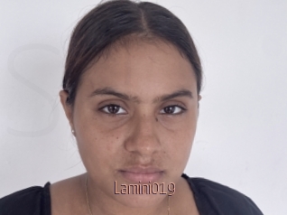 Lamini019