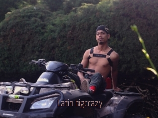 Latin_bigcrazy