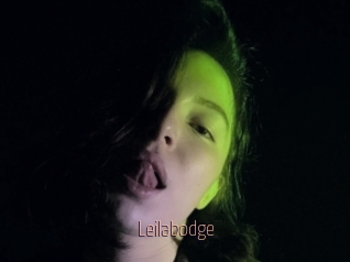 Leilabodge