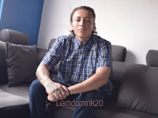 Liamdomink20