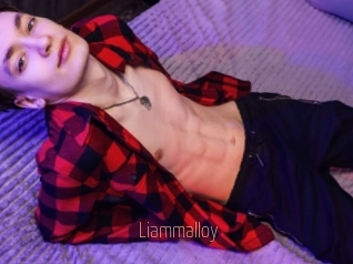 liammalloy Sexe désirs