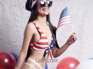 Liaortizcam