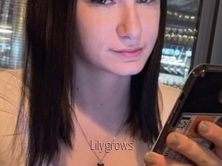 Lilygrows