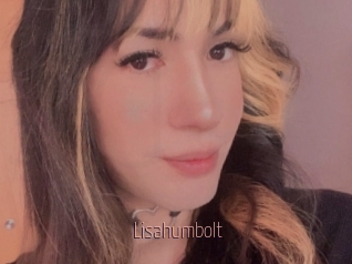 Lisahumbolt