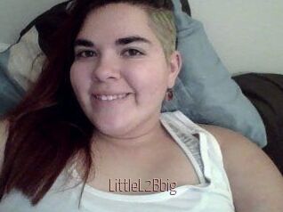 LittleL2Bbig