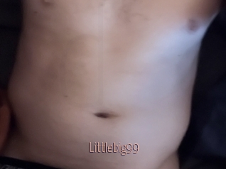 Littlebig99
