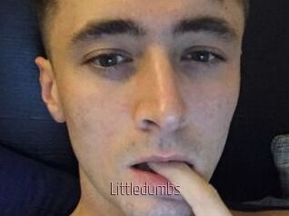 Littledumbs