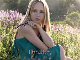 littlewildkitty Sexe désirs