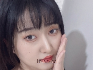 Lixiaoxiao