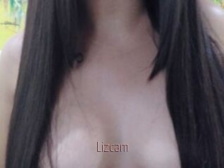 Lizcam