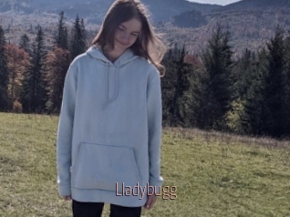Lladybugg