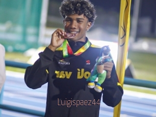 Luigispaez44