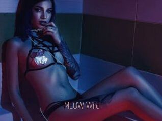 MEOW_Wild