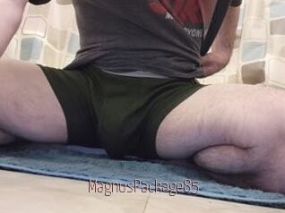 MagnusPackage85