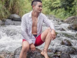 MagnusWayne