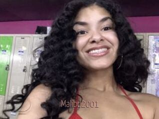 Malibu2001