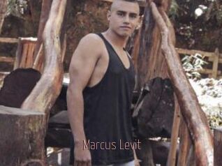 Marcus_Levit