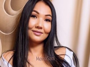 MeinaSani