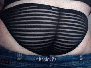 Mikeblevins