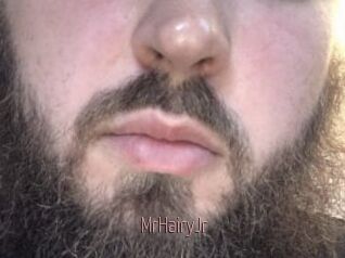 MrHairyJr