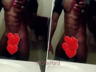 MrStayHard