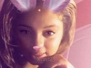 Mswet23