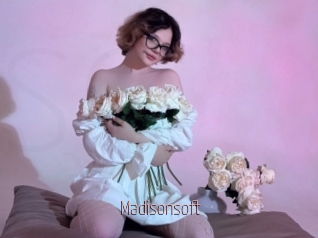 Madisonsoft