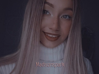 Madisonspark