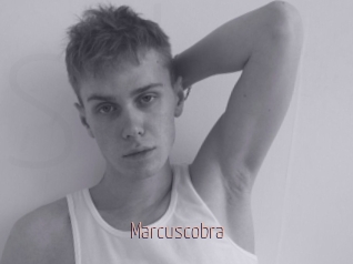 Marcuscobra