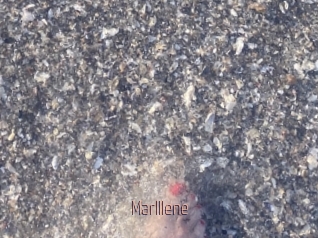 Marlllene