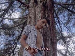 Mathew_brooks