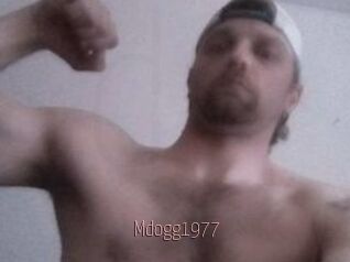 Mdogg1977