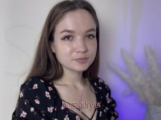 Megandryer