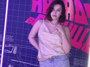 Meganfelt