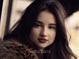 Meghanbarns